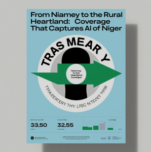 journalists covering news across Niamey and rural Niger